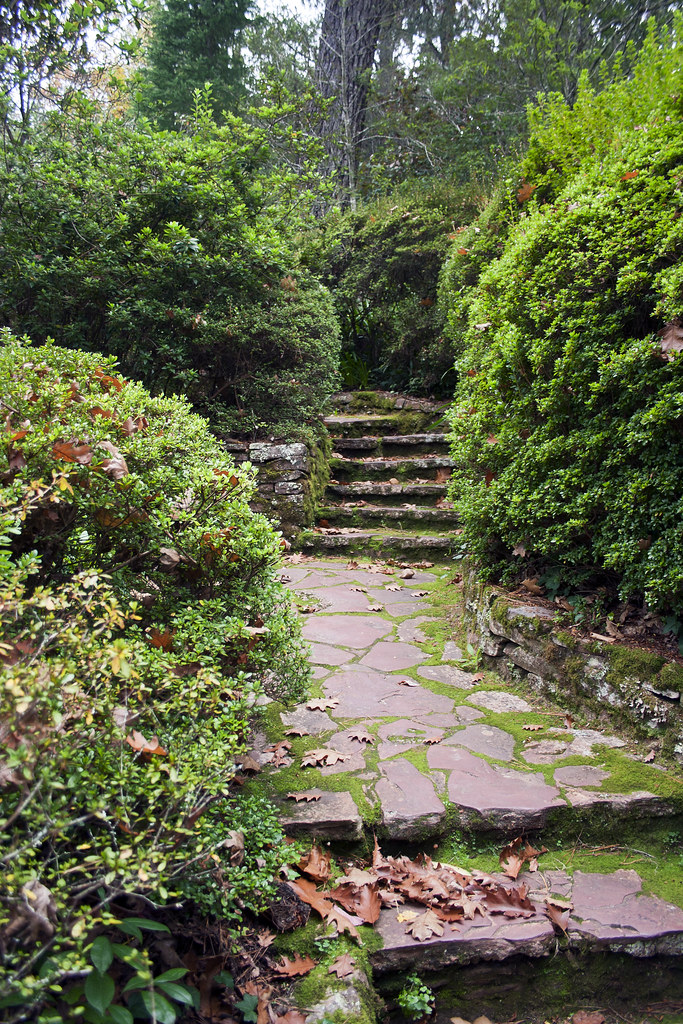 The Courtyard Garden