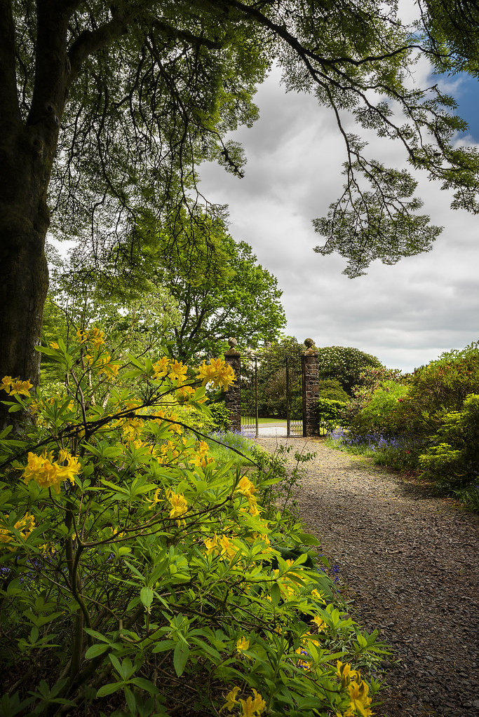 Bluebell Gardens